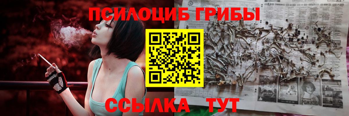 Галлюциногенные грибы Psilocybine cubensis  Вход с VPN  Волгоград 
